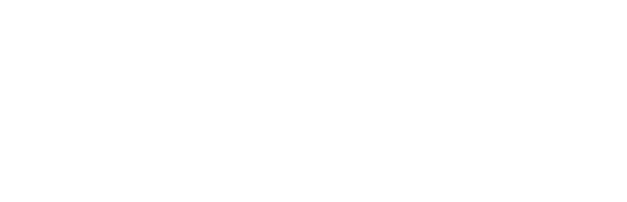 Dr. Josiano Braun